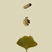 Tempel Plus miljøbillede